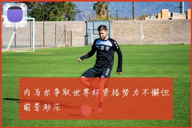 内马尔争取世界杯资格努力不懈但前景渺茫