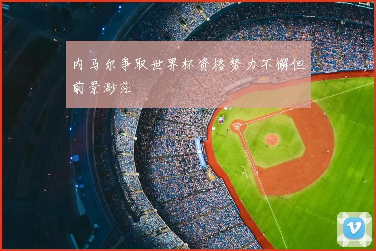 内马尔争取世界杯资格努力不懈但前景渺茫