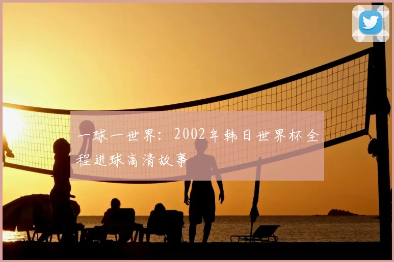 一球一世界:2002年韩日世界杯全程进球高清故事