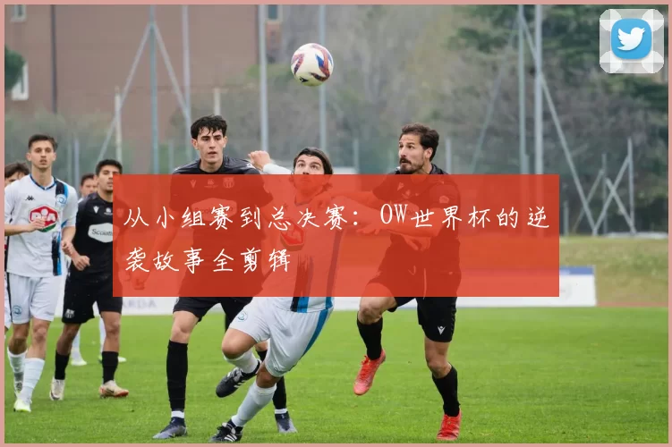 从小组赛到总决赛：OW世界杯的逆袭故事全剪辑