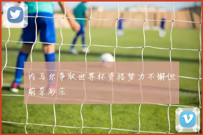 内马尔争取世界杯资格努力不懈但前景渺茫