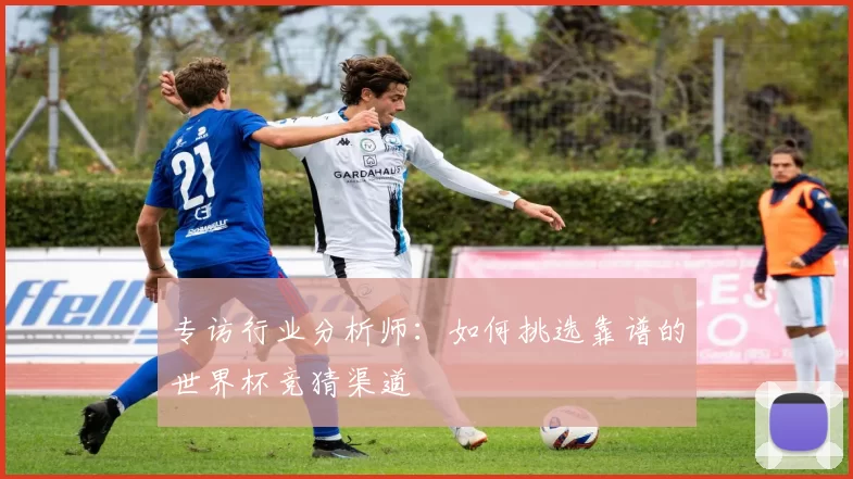 专访行业分析师:如何挑选靠谱的世界杯竞猜渠道