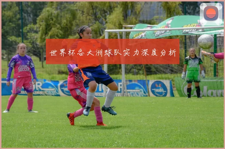 世界杯各大洲球队实力深度分析