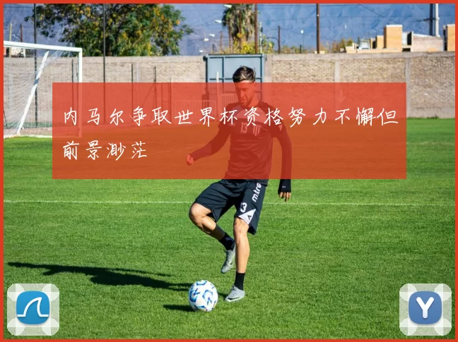 内马尔争取世界杯资格努力不懈但前景渺茫