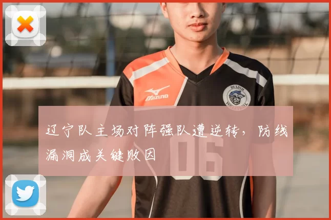 辽宁队主场对阵强队遭逆转，防线漏洞成关键败因