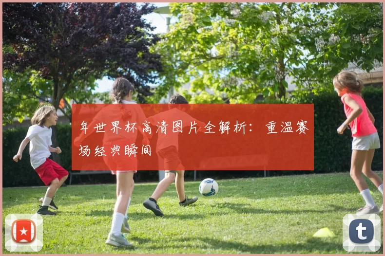年世界杯高清图片全解析:重温赛场经典瞬间