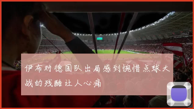 伊布对德国队出局感到惋惜点球大战的残酷让人心痛