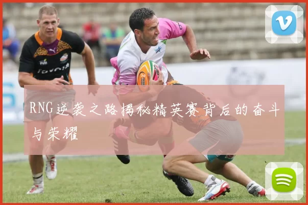 RNG逆袭之路揭秘精英赛背后的奋斗与荣耀