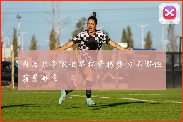 内马尔争取世界杯资格努力不懈但前景渺茫