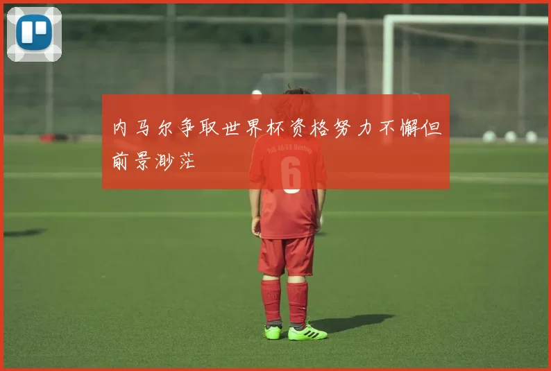 内马尔争取世界杯资格努力不懈但前景渺茫