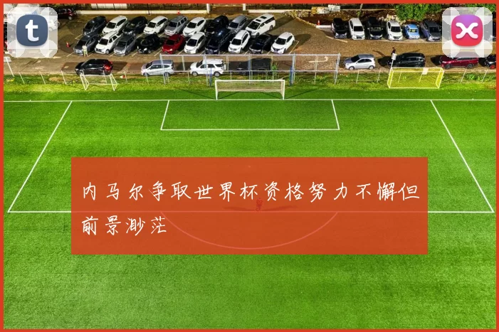 内马尔争取世界杯资格努力不懈但前景渺茫