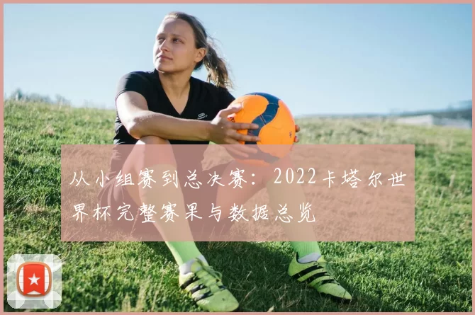 从小组赛到总决赛：2022卡塔尔世界杯完整赛果与数据总览