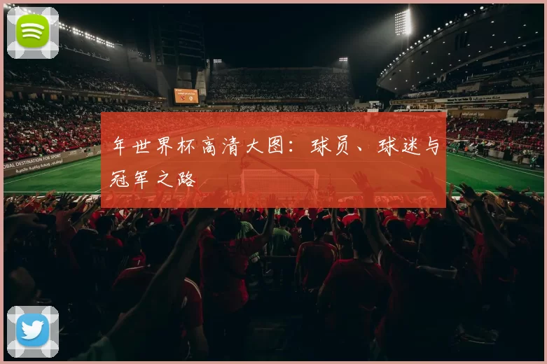 年世界杯高清大图:球员、球迷与冠军之路