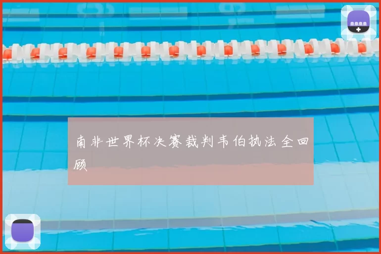 南非世界杯决赛裁判韦伯执法全回顾