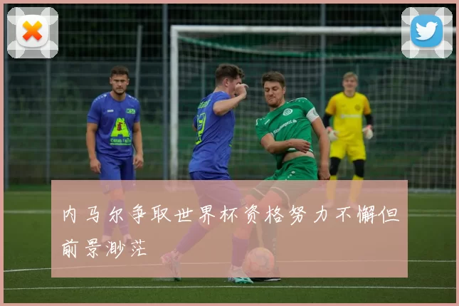 内马尔争取世界杯资格努力不懈但前景渺茫