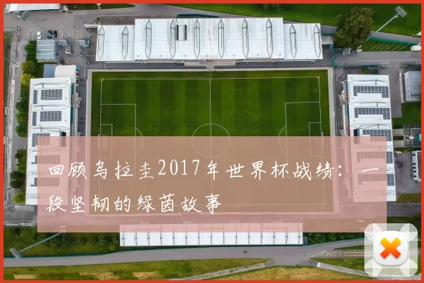 回顾乌拉圭2017年世界杯战绩：一段坚韧的绿茵故事